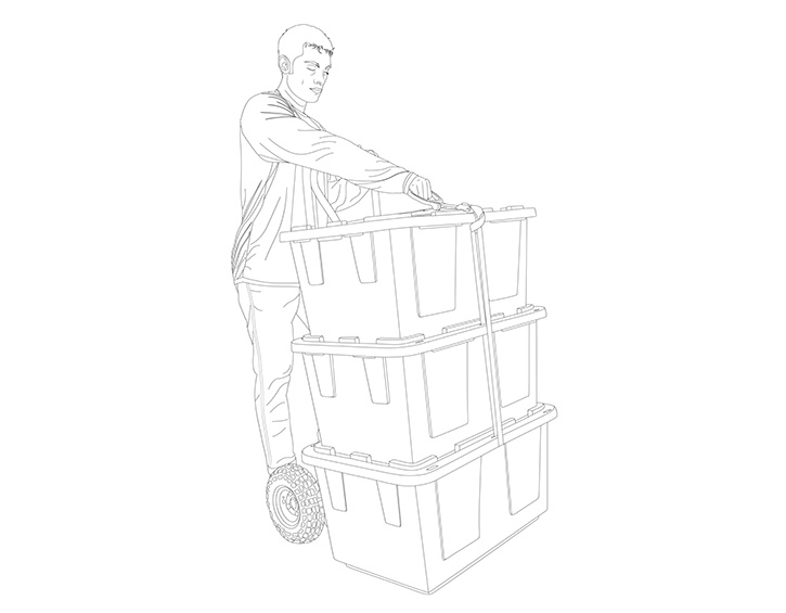 Vector Line Drawing (3)_Before — after